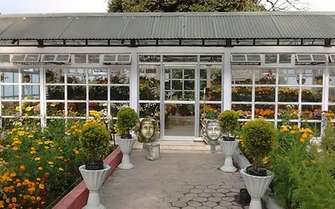 Picnicking at Shrubbery Nightingale Park